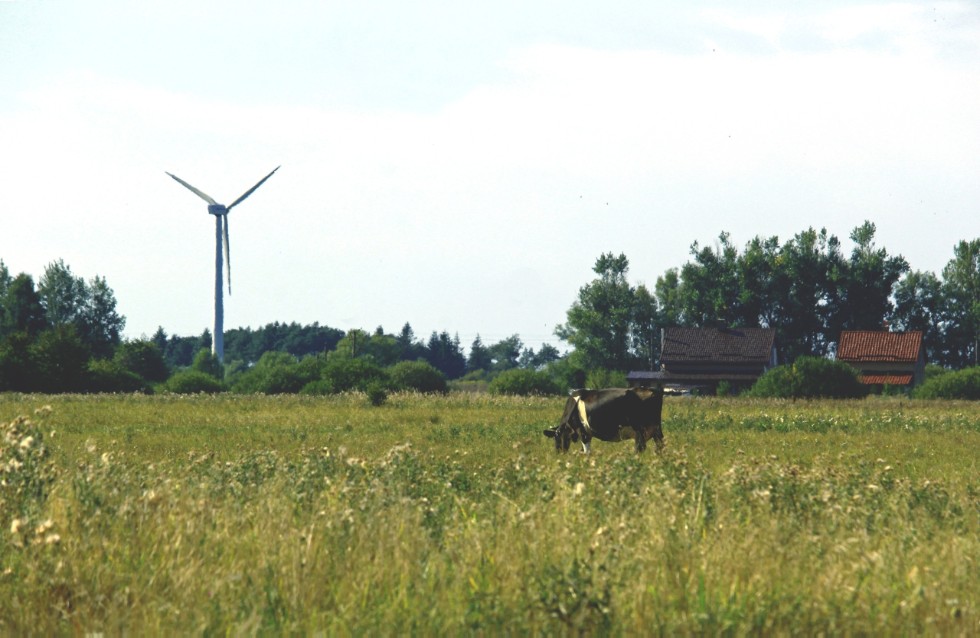 ��������� �����-������ ��������� ��������������� �������� � �������� ���������� ����� �������� ����� ������.