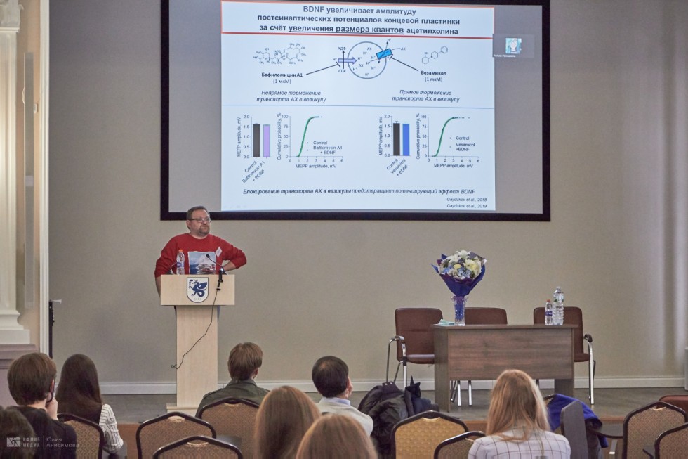 Конференция Конференция