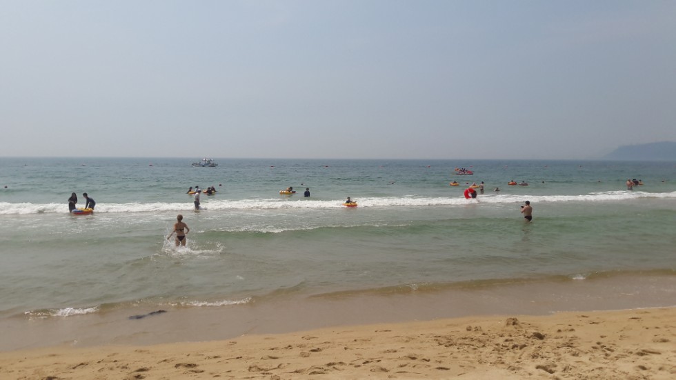 ����� ���������� ���������� �� 11� ������ �� ��������� 