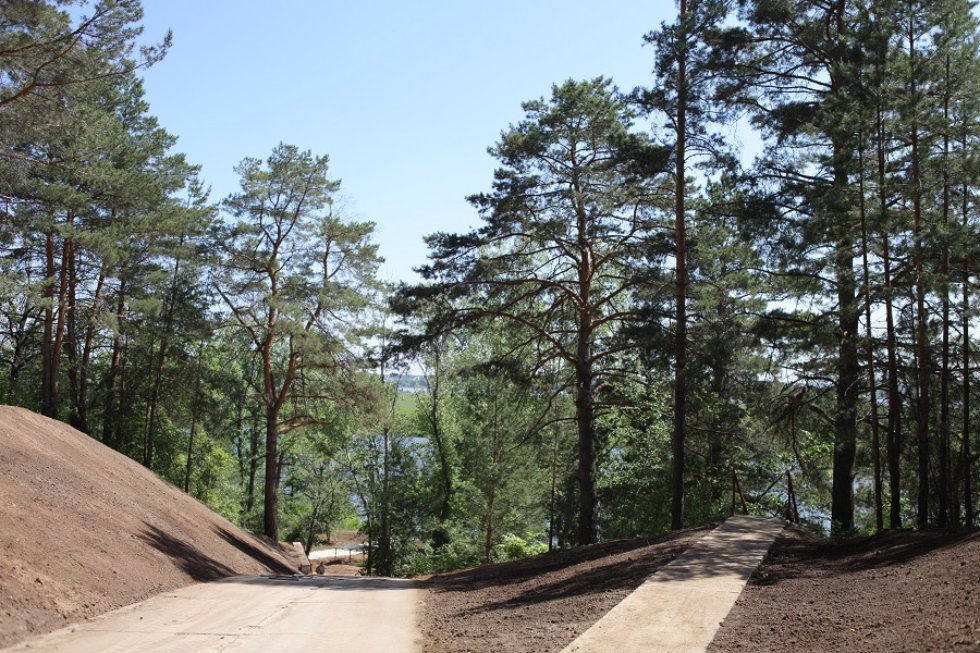 ���������-��������������� ������ '�����������'