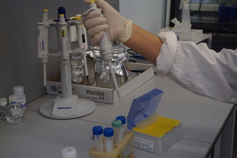 Eco-Friendly Replacement for Surfactants Researched at Kazan University