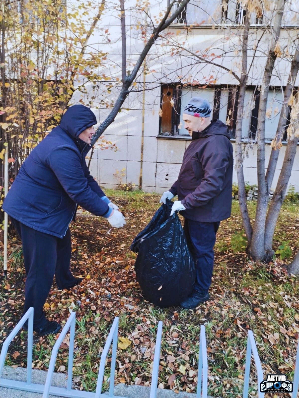 ���� ����� �� ������!