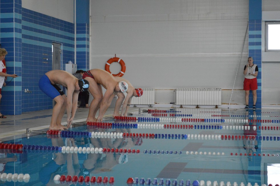 � �������� ���� - �������� ���