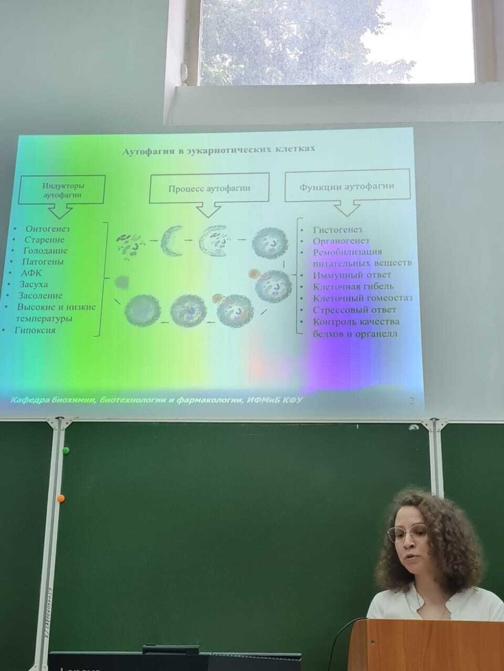 На кафедре состоялся второй этап государственной итоговой аттестации аспирантов по профилю На кафедре состоялся второй этап государственной итоговой аттестации аспирантов по профилю