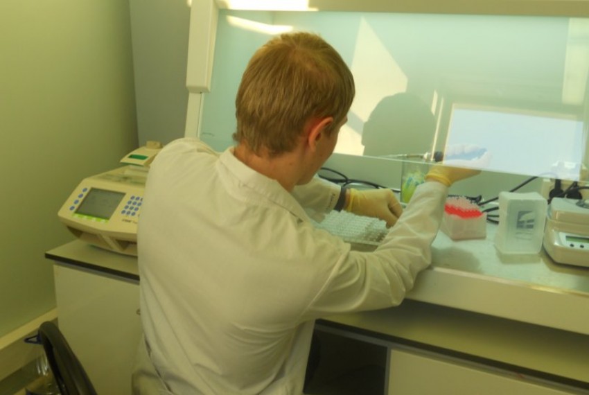 ������� ��������