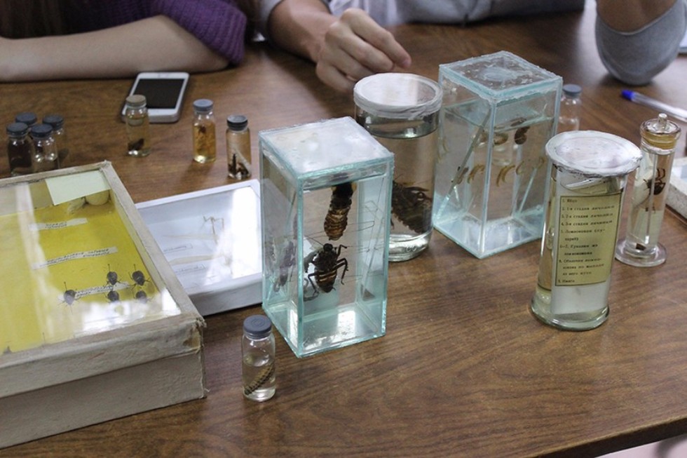 Профориентационная школа-коворкинг завершается в 'Буревестнике' Профориентационная школа-коворкинг завершается в 'Буревестнике'