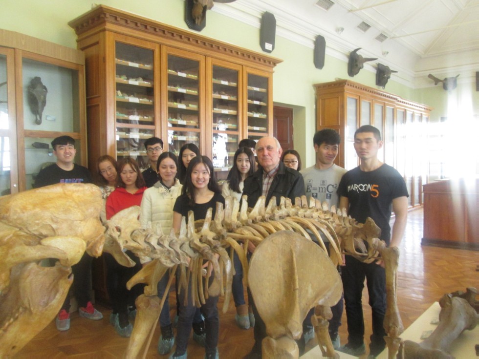 ����������� �������� �������� ����� ���