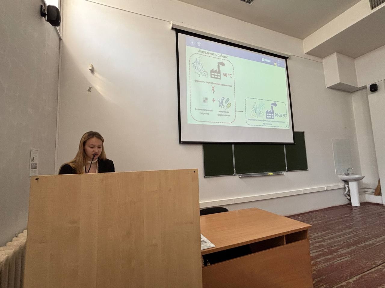 ���� ����� 2025