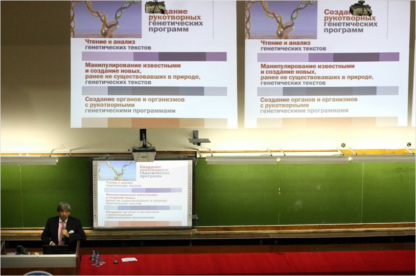 ������ - �������