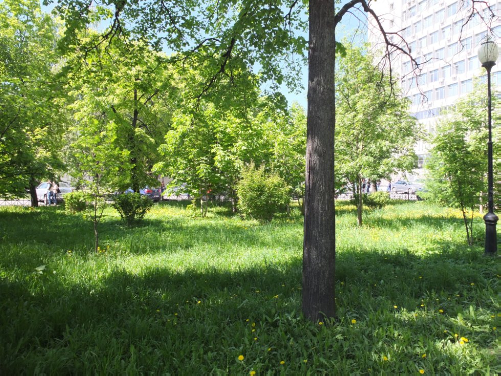 ������ ����. ���������� � �� �����������