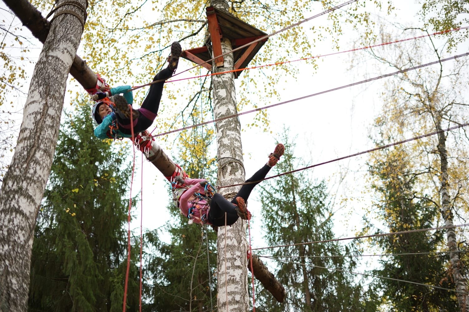 ��������� ������� ����������� ���