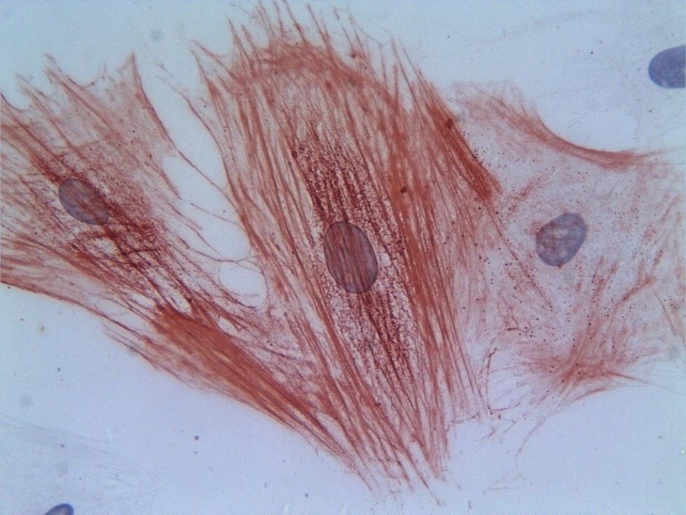 Научные исследования Научные исследования