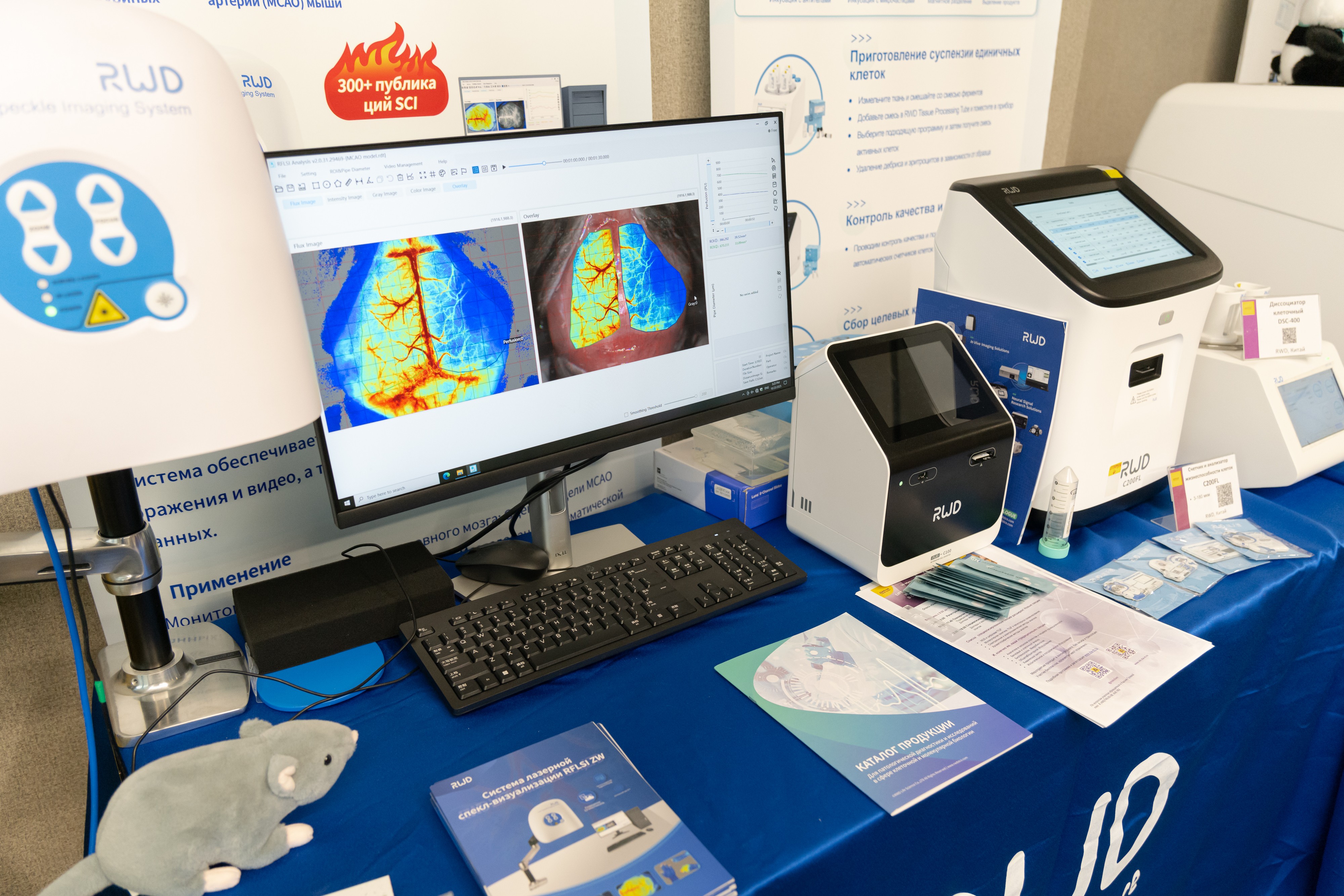 ���������� � �������� ������� ��������, ������������� � ������������ ����� ��� ������� ������� � �������� '������ � ����� ? 2025'