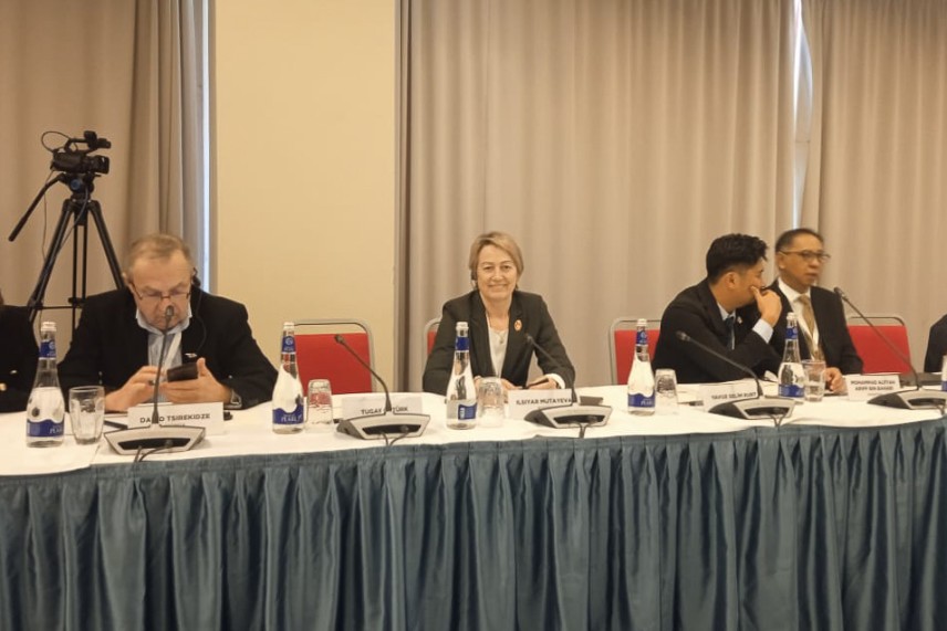 Scientists of Elabuga Institute of KFU spoke at the International Forum on Ethnosport