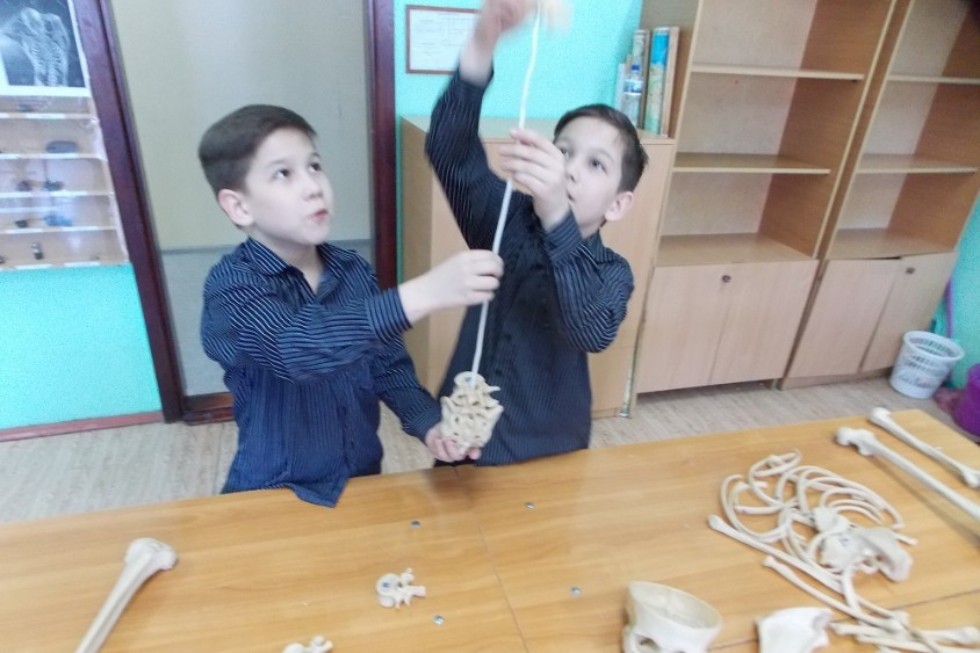 '������ �����' ��� ���������� � ���������