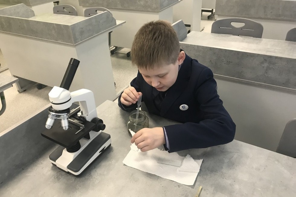 ������ ���� � �����