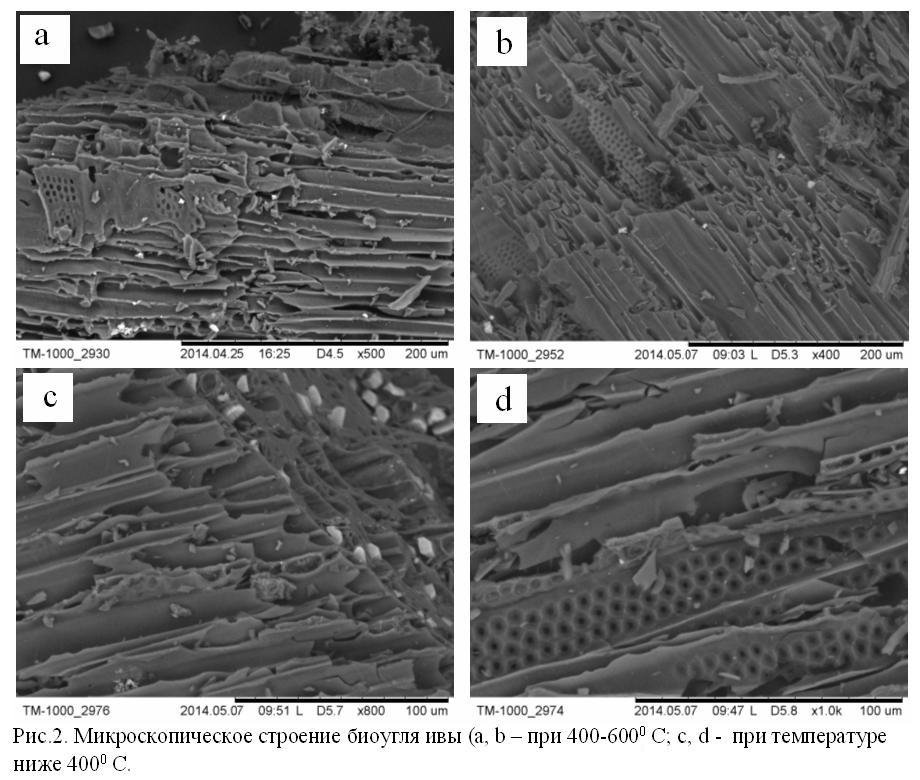 ���������� ������������ �������������� �������