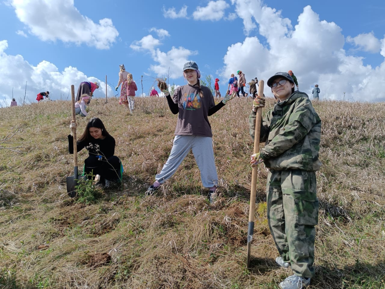 Деревья - вместо бронзы и мрамора Деревья - вместо бронзы и мрамора