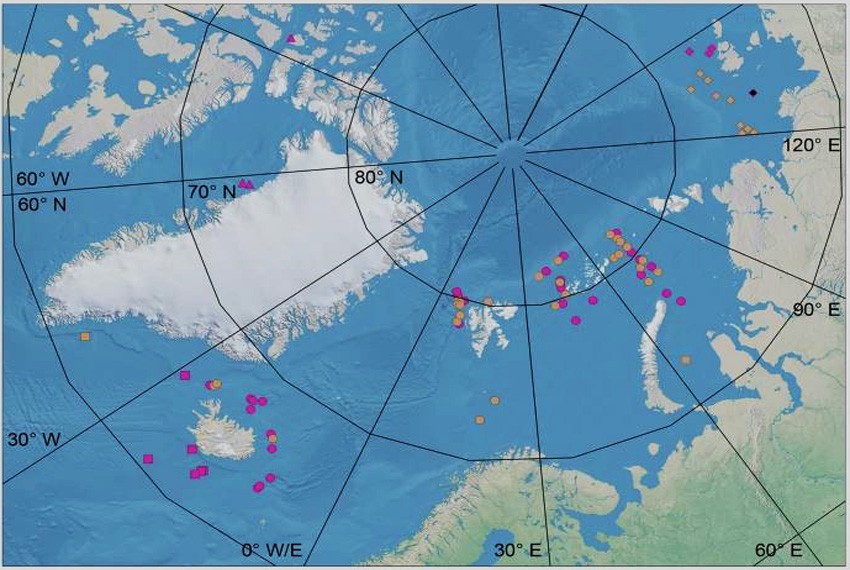 Места обнаружения нового вида осьминога в Арктике Новый вид арктического осьминогаоткрыт зоологами КФУ