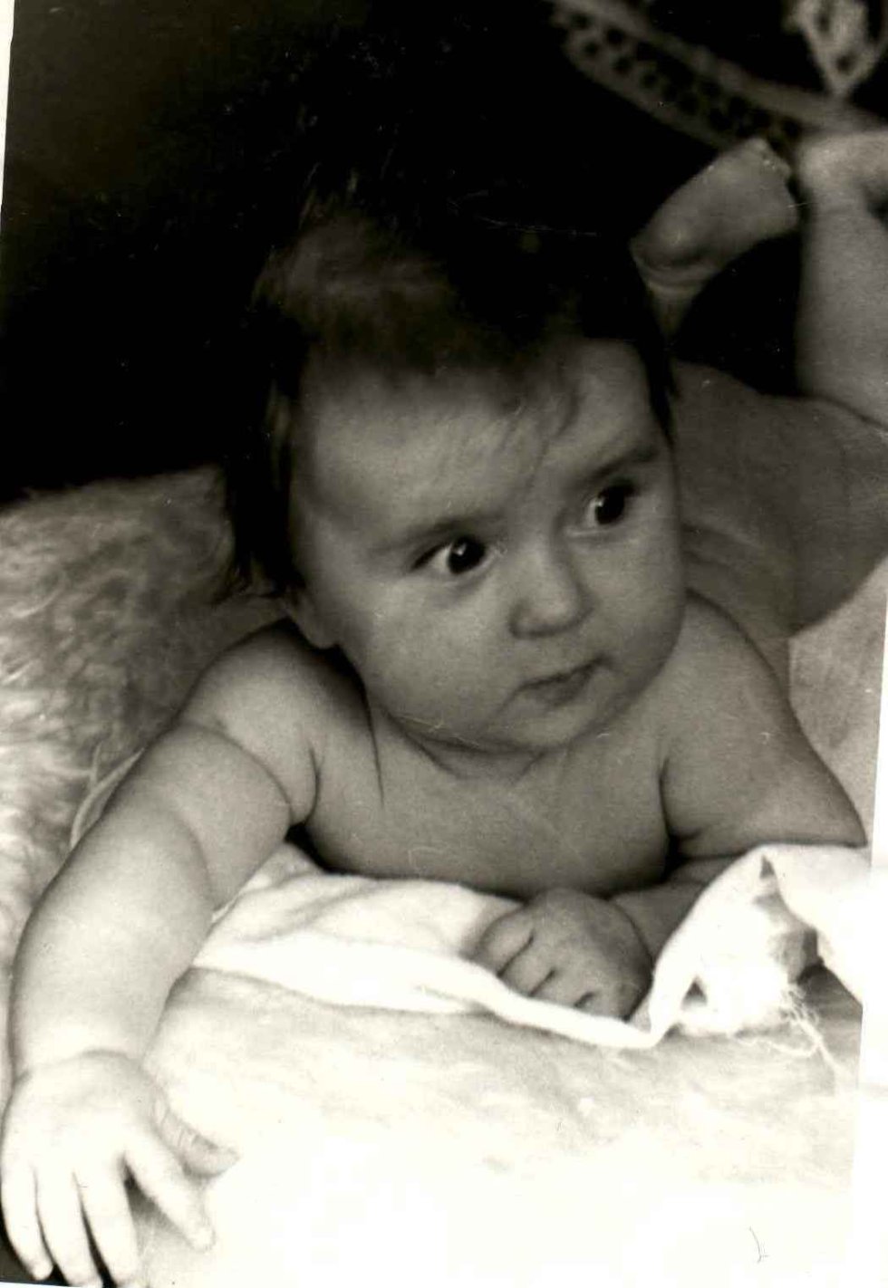 ������ �������. �� ������ �� ������ ? ���� ���