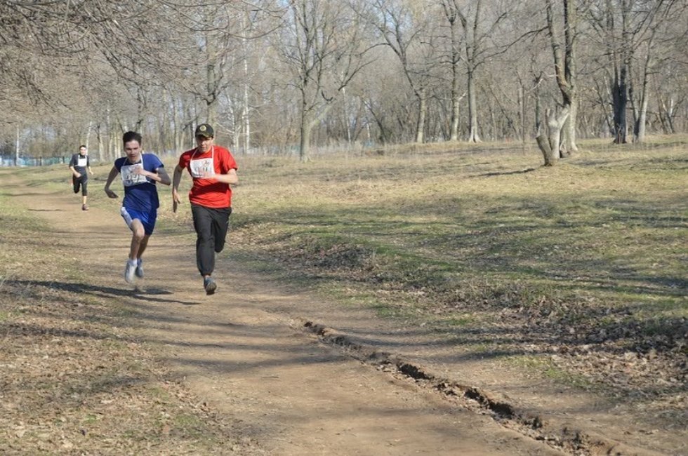 ���������� ������ ������������