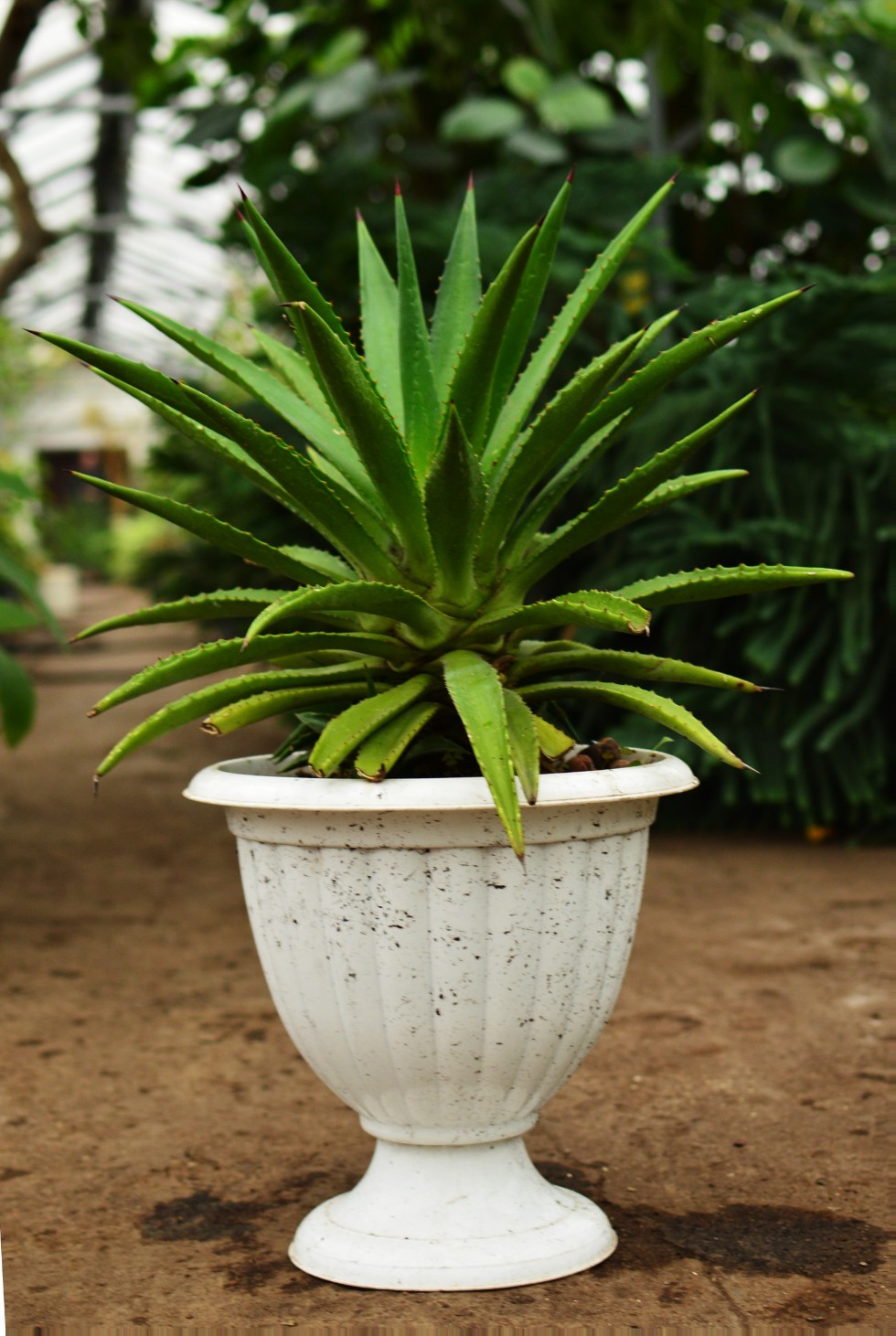 ���������� ��������