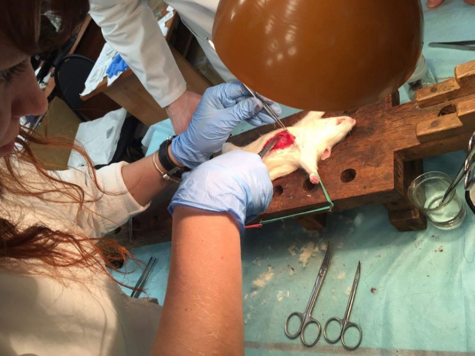 Практический семинар по реализации программы 'Ишемия сердца' Практический семинар по реализации программы 'Ишемия сердца'