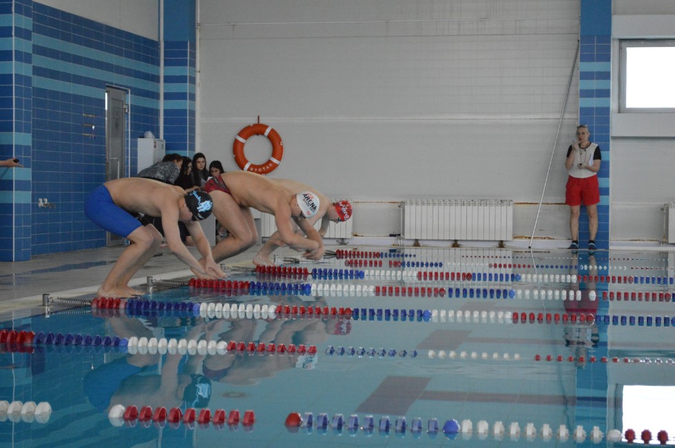 � �������� ���� - �������� ���