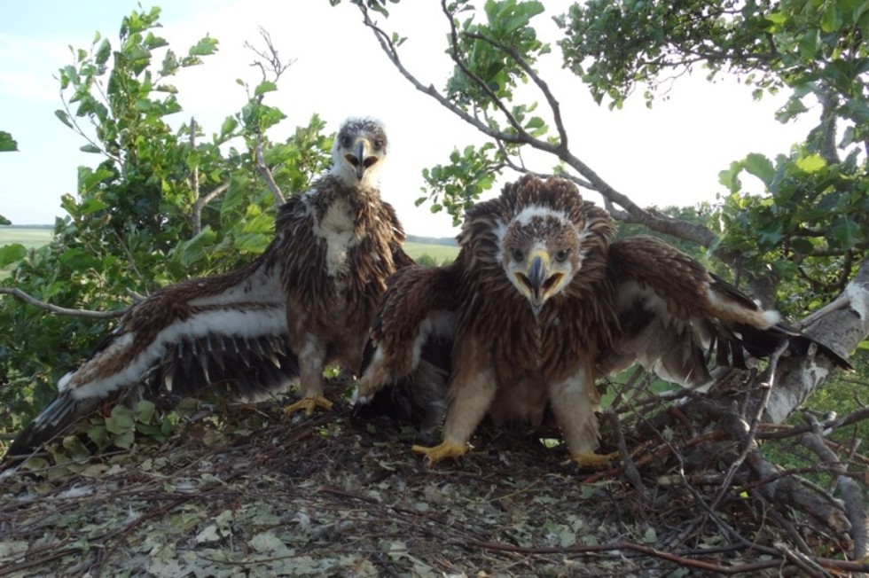 ������ ����������� ��������� ��� �������� ���������� ����������� ������� ���� ���� �� ���������� ����������