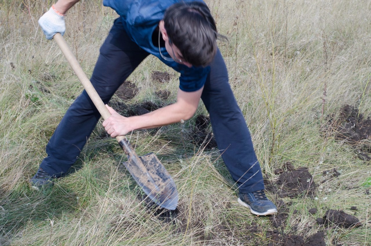 Ландшафтная учебная практика (20-28 сентября 2017 г.) Ландшафтная учебная практика (20-28 сентября 2017 г.)