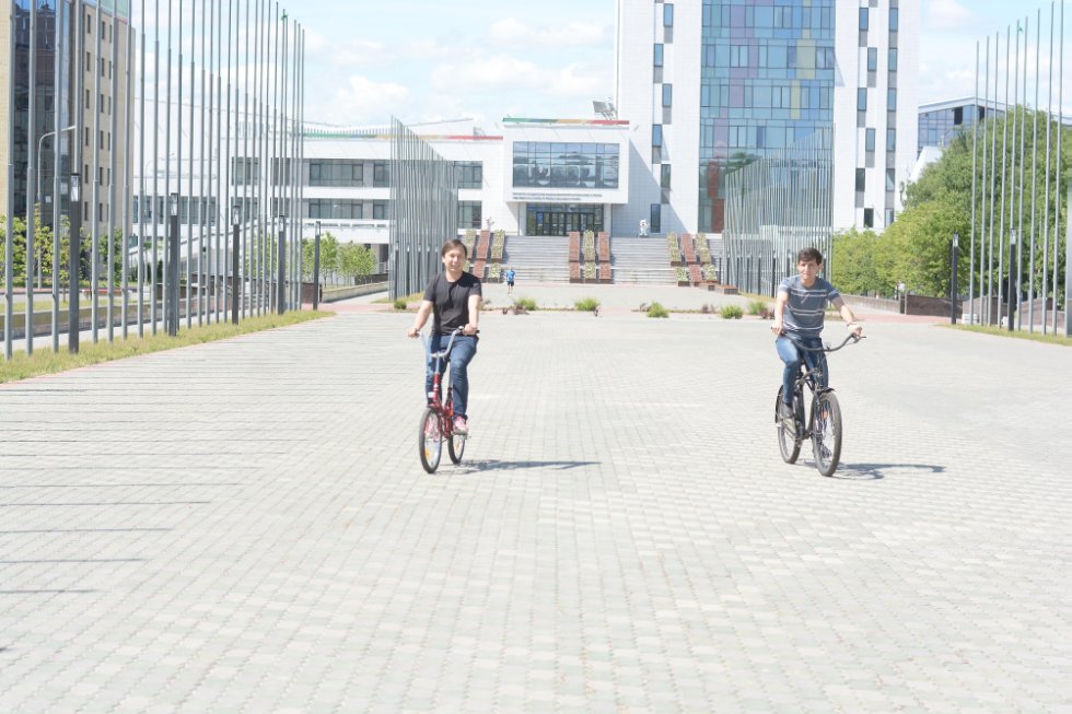 ������ ������������ ������ ������