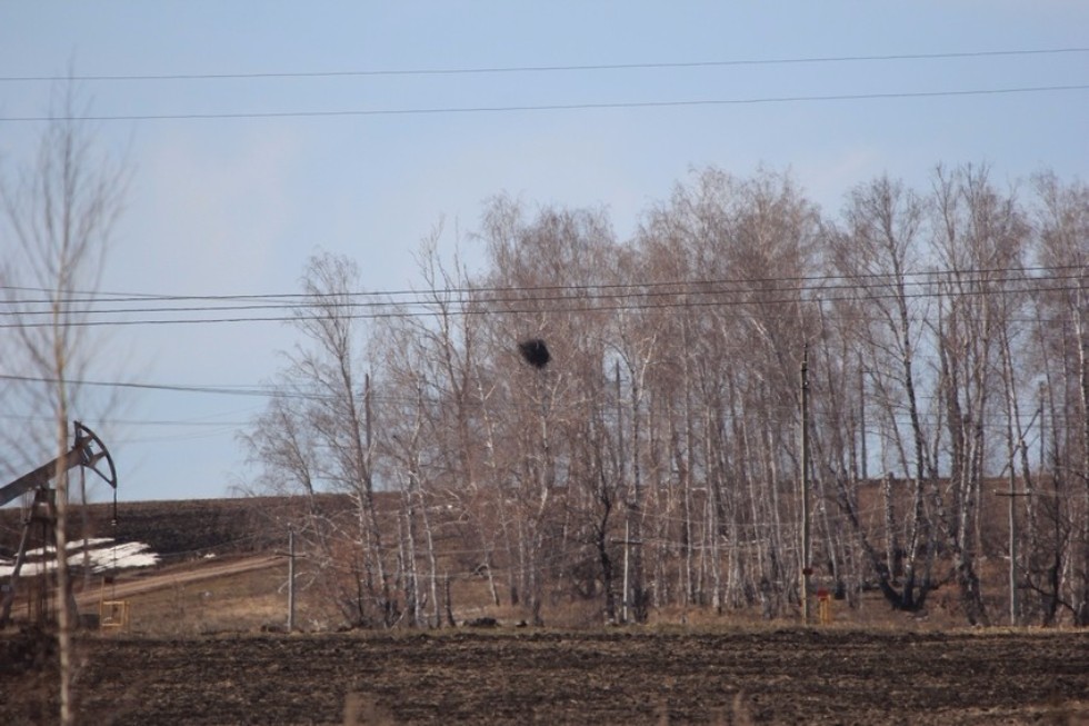 �������� ����������� ����-����������