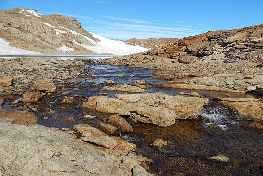 ����� ������ ������ ��� � ����������