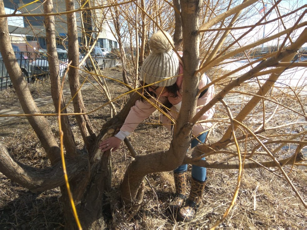 Rehabilitation project for Maryino Lake in Kazan presented by Kazan University and partners