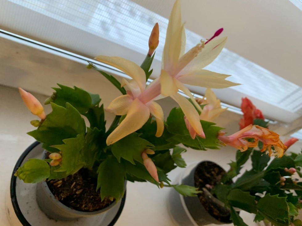 Юлия Журавлева: 'Химия ? это наука, умеющая творить чудеса' Юлия Журавлева: 'Химия ? это наука, умеющая творить чудеса'