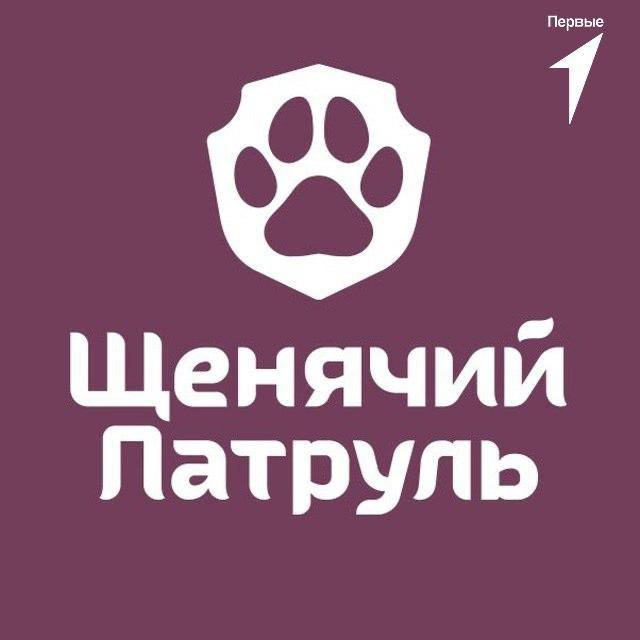 ������ � ������� ,2025-2026 ������� ���, �������������������, #������������� #�������������� #����������