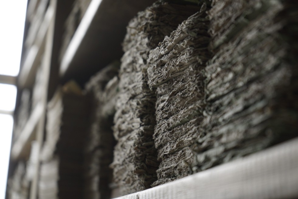 Рукописи, миниатюрный Коран и другие сокровища книгохранилища КФУ смогли увидеть казанцы в День библиотек Рукописи, миниатюрный Коран и другие сокровища книгохранилища КФУ смогли увидеть казанцы в День библиотек