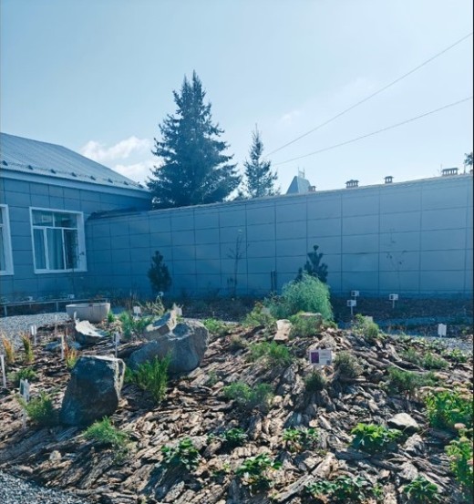 Сад Отражений Сад Отражений