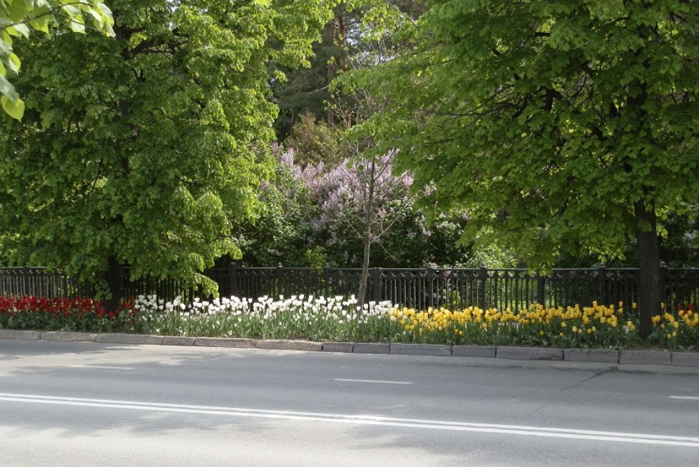 ������� ������� ������� �������������� ���������� �� ���������� �����������