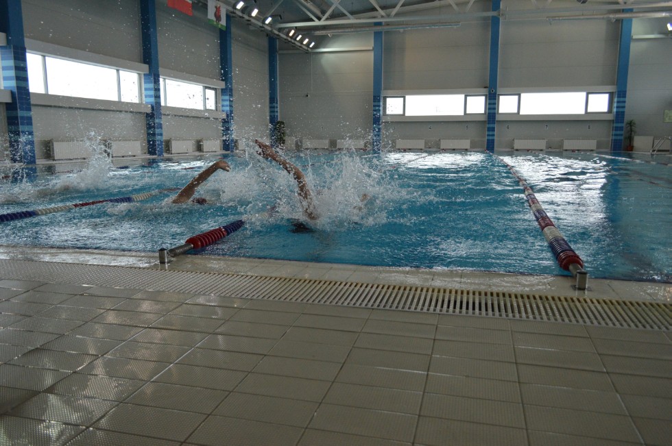 � �������� ���� - �������� ���