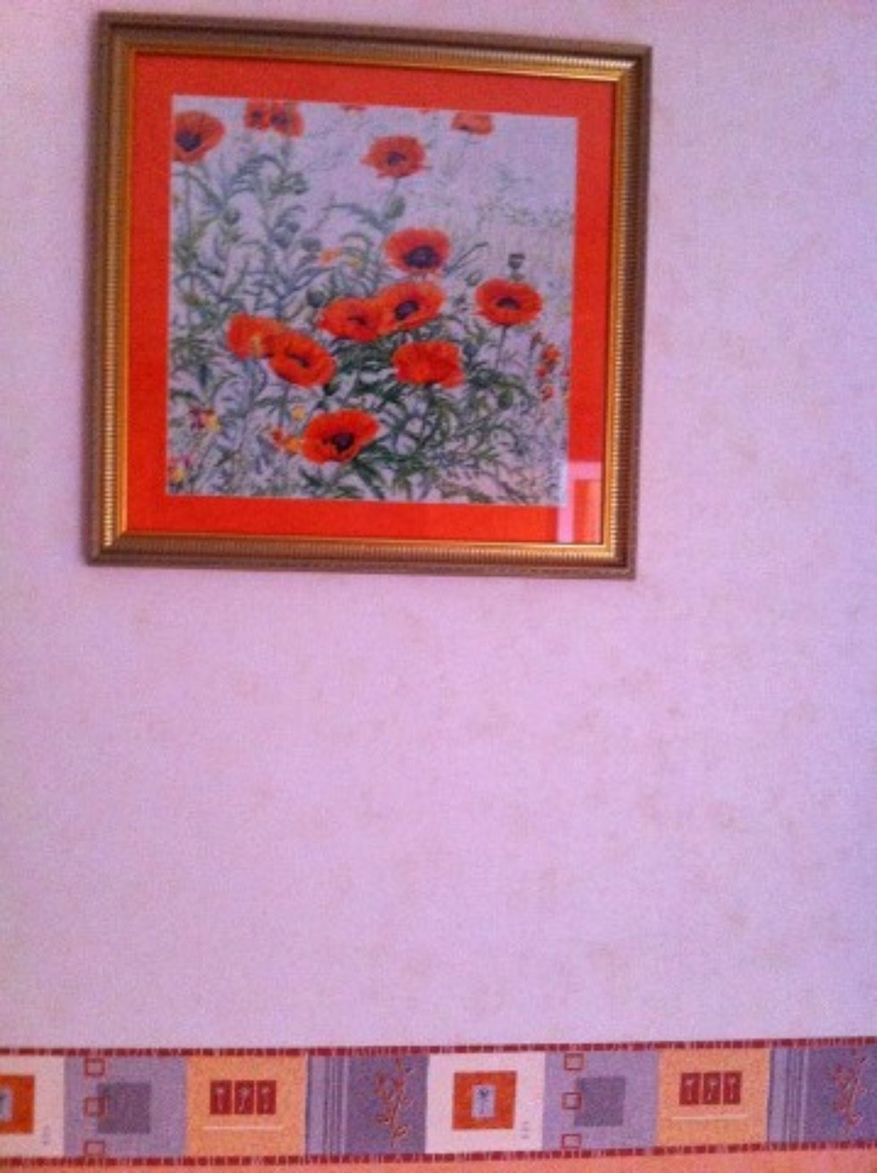 '����� ������ ��������� �� ��� ������� �������!' - ����� �������