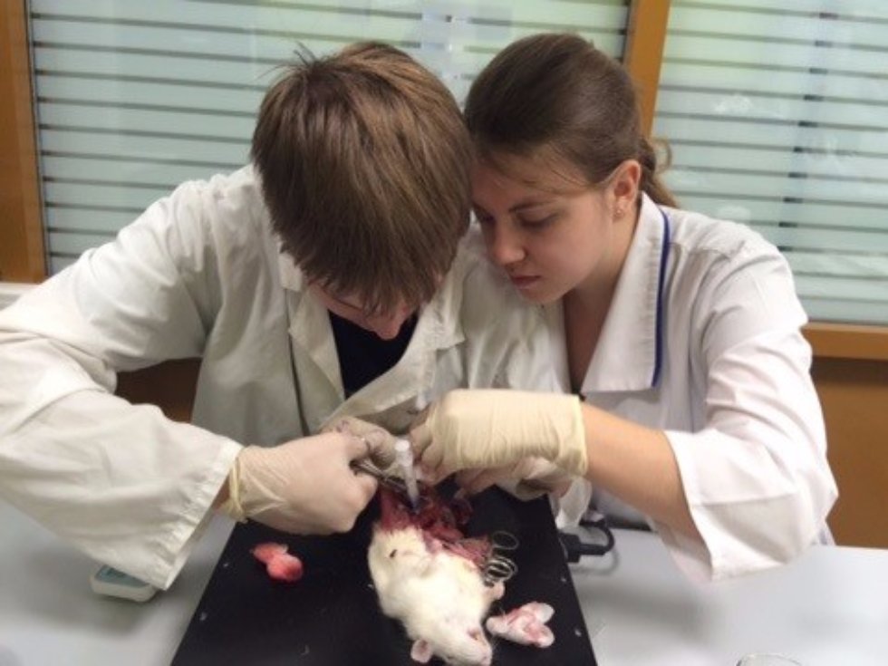 ������� �������