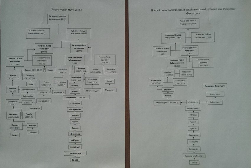 В Елабужском институте КФУ прошла выставка родословных В Елабужском институте КФУ прошла выставка родословных