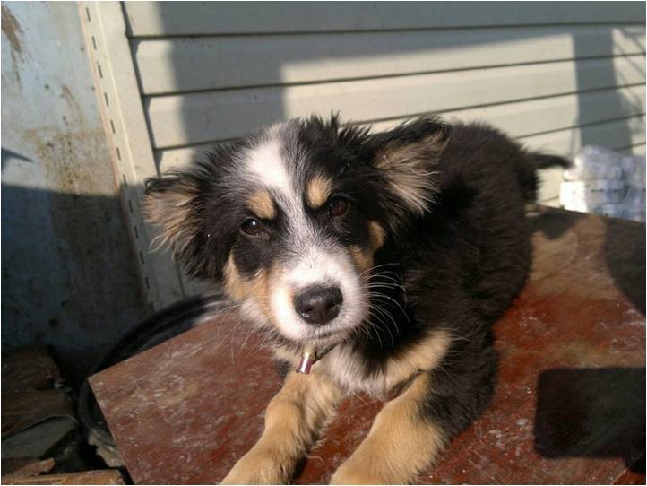 ���������� ������ '�������� ������'