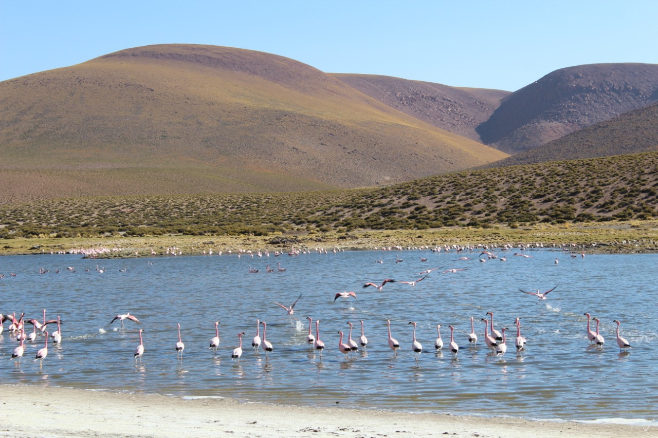 ������ ��� ����� ��������� � ��������� ������� ������� ,�������, ���������