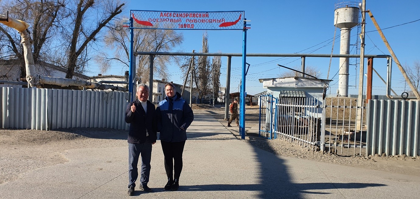 ������������ ����� ������ �������� �� ��� ������