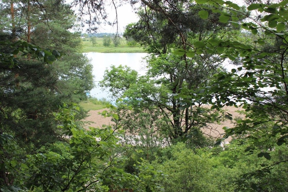 ���������-��������������� ������ '�����������'