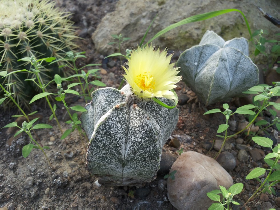 ���������� ��������