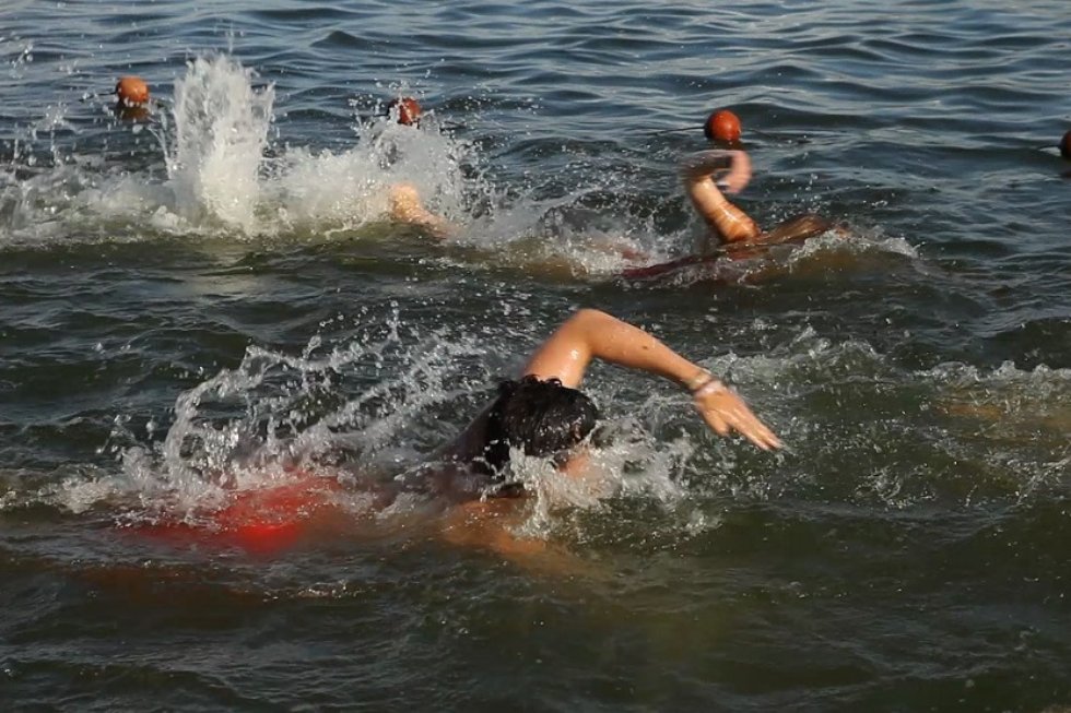 ���������-��������������� ������ '�����������'