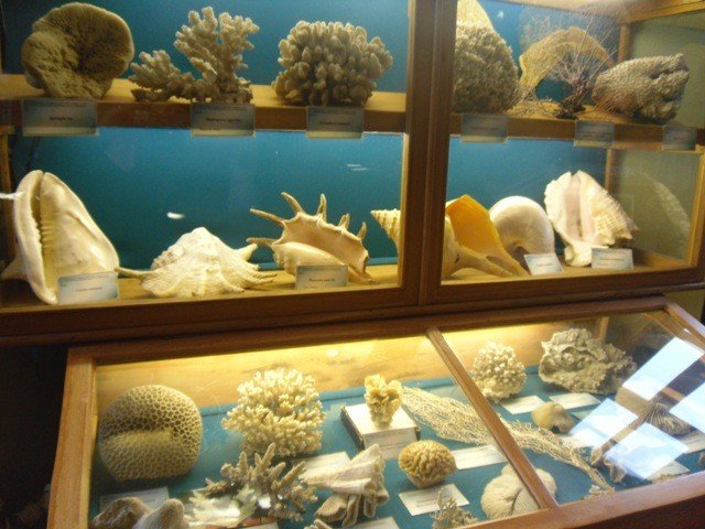 7� � 9� � ����� �������� ���